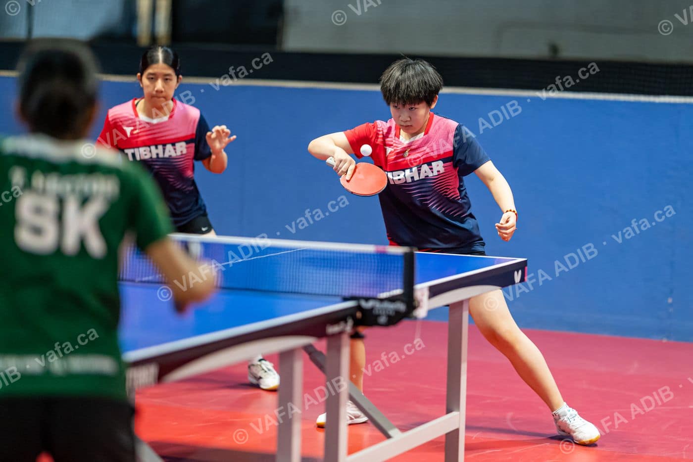 Photo 8784