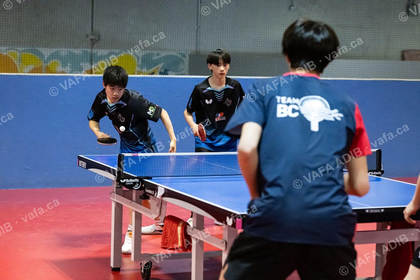 Photo 8044